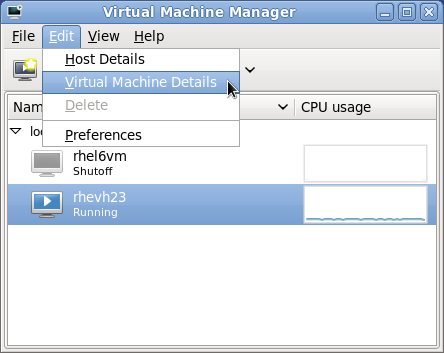 Displaying the virtual machine details